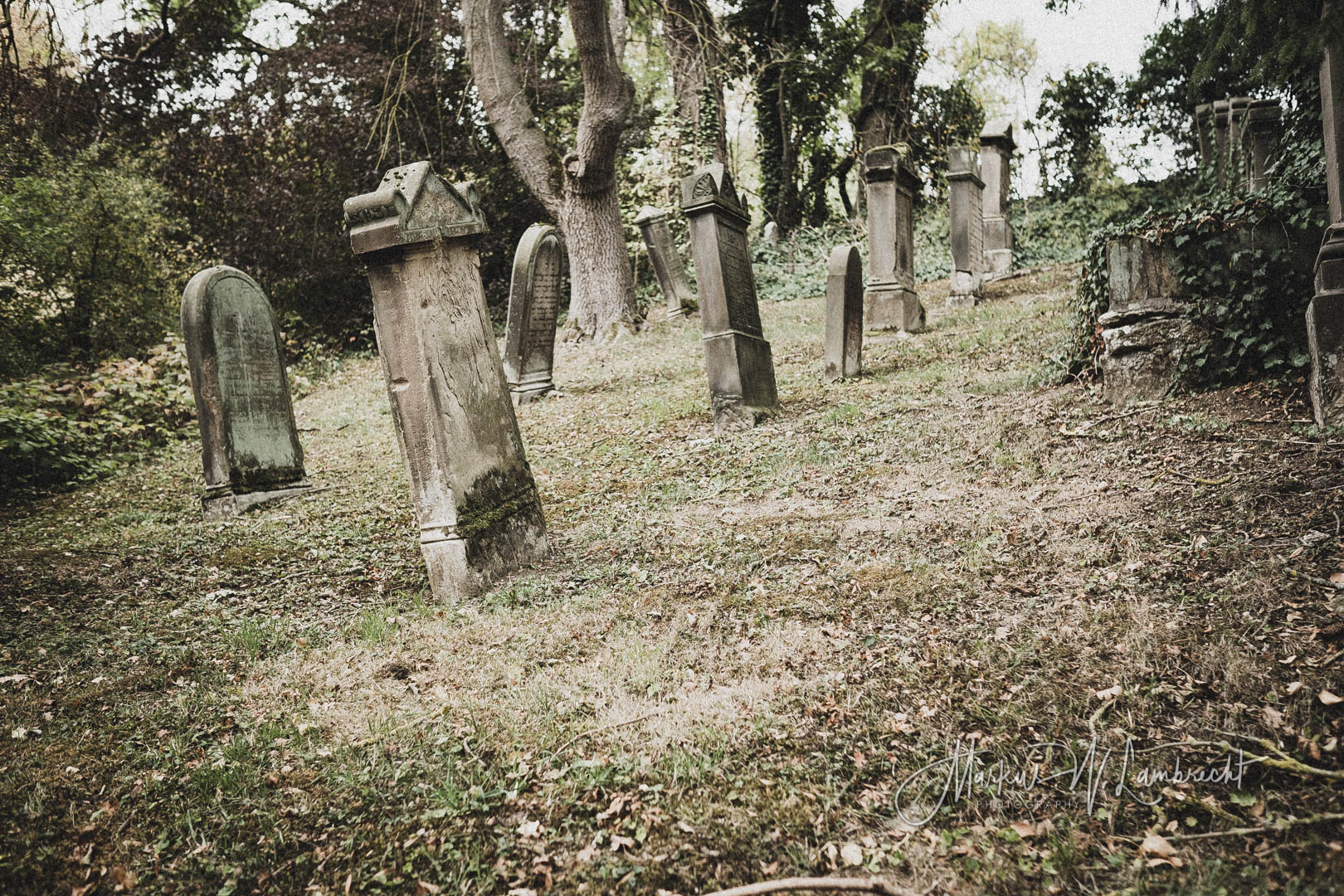 Rimbeck, Jüdischer Friedhof